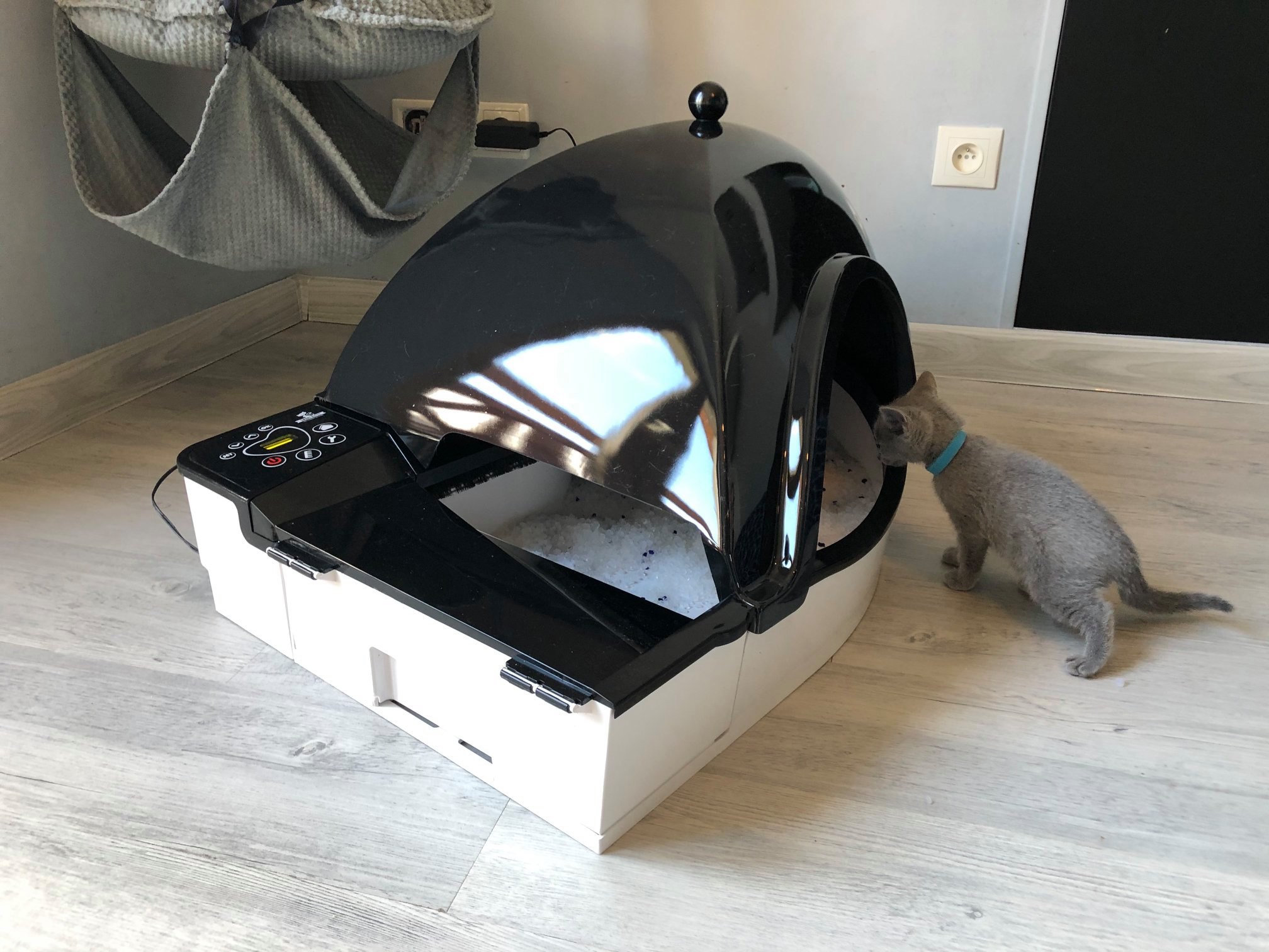 Kot przy kuwecie SmartKitty